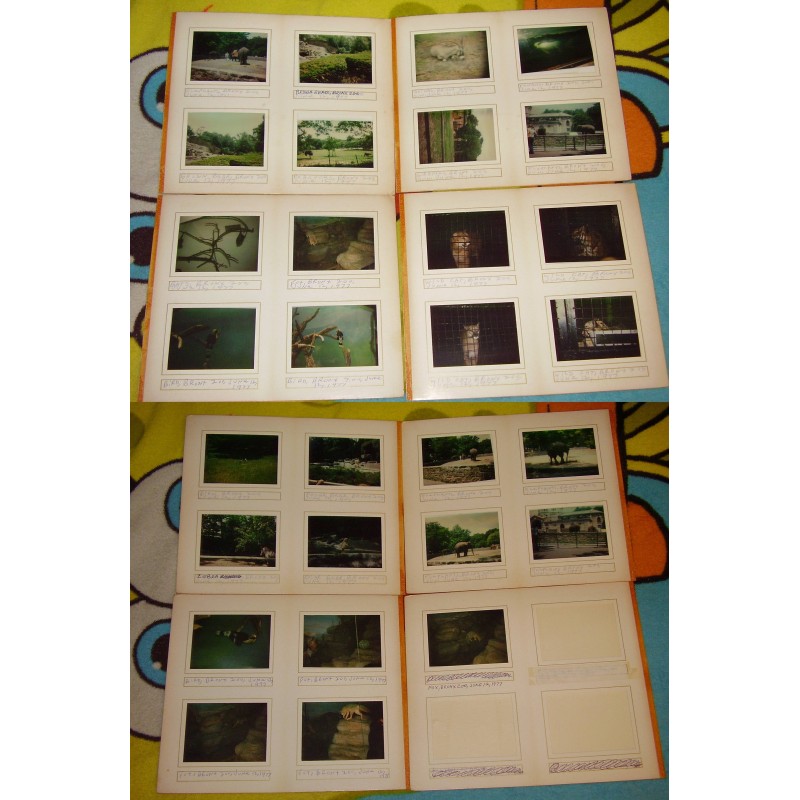 Vintage Photographs Bronx Zoo Animals June 1977 Set of 29
