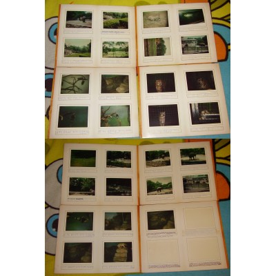 Vintage Photographs Bronx Zoo Animals June 1977 Set of 29