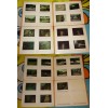 Vintage Photographs Bronx Zoo Animals June 1977 Set of 29