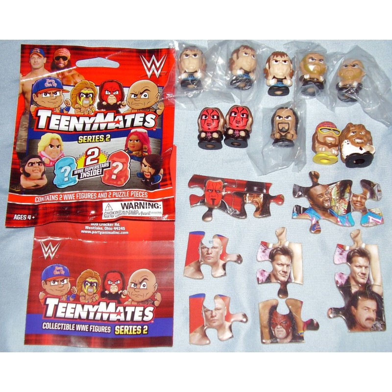 WWE Teenymates Series 2 Lot of 10 Macho Man Mankind Sting Dean Ambrose